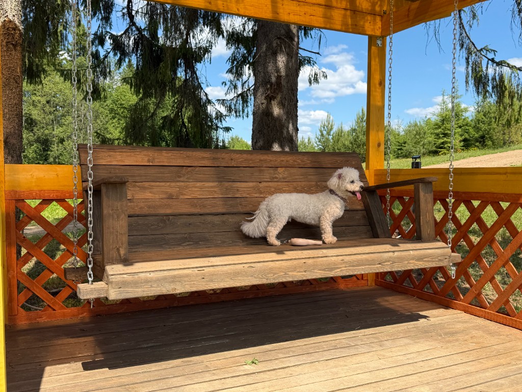 Качели на Русском Ранчо